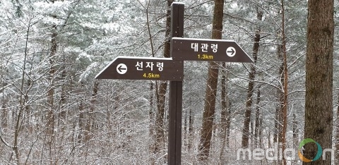 워크앤런, ‘어게인 평창’ 눈꽃 트레킹 행사 연속 주최