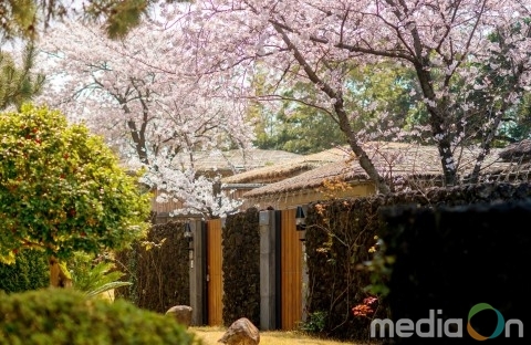 제주 씨에스호텔앤리조트, 국내 최초 전통호텔 5성 등급 획득