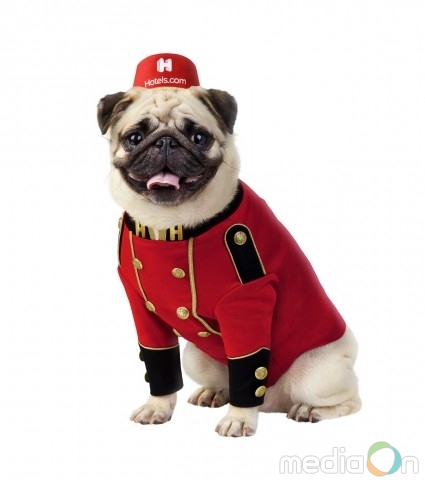 호텔스닷컴, 브랜드 마스코트 ‘벨퍼그’ 한국 론칭