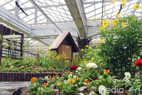 봄맞이 단장 마친 서울숲 나비정원, 5월 1일 개장